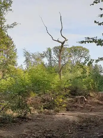 Photo de Geschäftsstelle Naturpark Arnsberger Wald