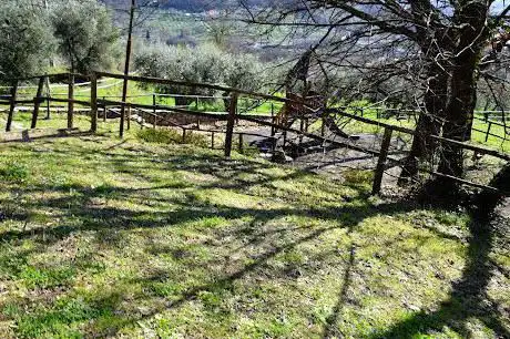parco pubblico