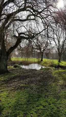 Photo de Sudbury Meadow
