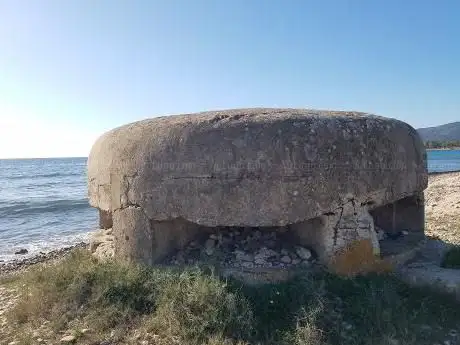 Fortino