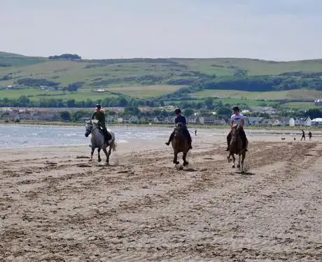 Photo de Ayr Equestrian