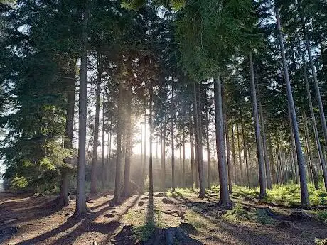 Photo de Gorrick Plantation