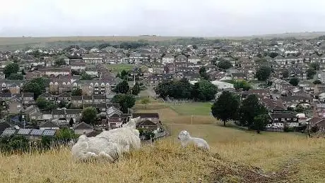 Photo de Whitehawk Hill Local Nature Reserve