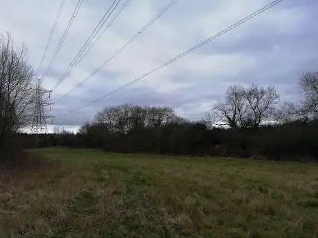 Photo de Pages Wood - Thames Chase Woodlands