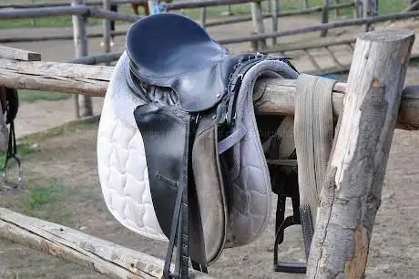 Photo de Beaumont Grange Farm Equitation Centre