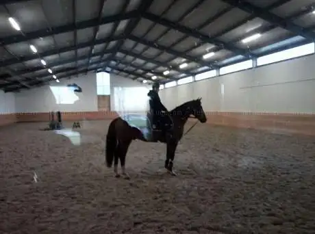 Photo de Riossa Stables