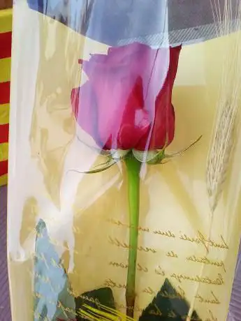 Photo de Cal Vall Avinyó