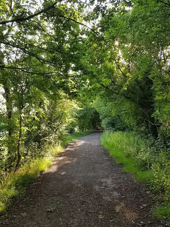 Photo de Tinsley Park Woods