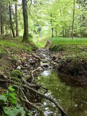 Brumeliweiher
