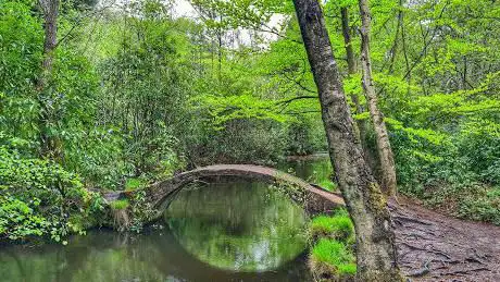 Photo de Moon bridge