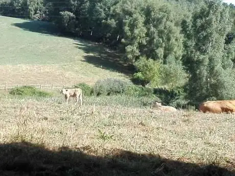 Photo de Estany del Coll