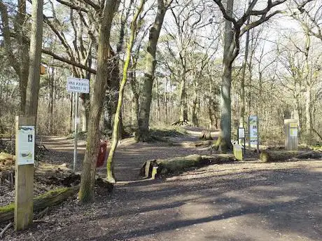 Kempens Landschap - De Poppelaer