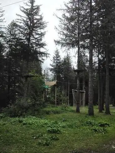 Photo de Treetop adventure