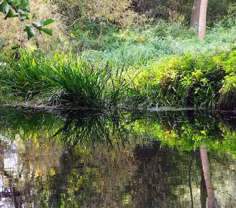 Photo de Pocket Park Nature Reserve