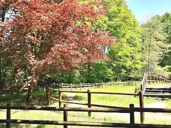 Photo de Sentier du Grillon