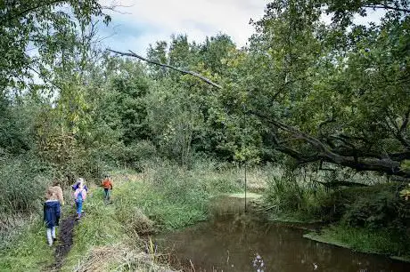 Molderbroek
