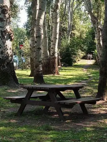 Photo de Area picnic Grado Pineta