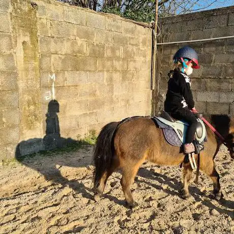 Photo de Equestrian Le Tufare Asd
