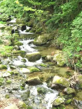 Torrente Albetta
