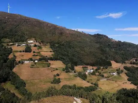 Photo de El CampechÃ­n