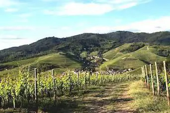 Durbach Aussicht
