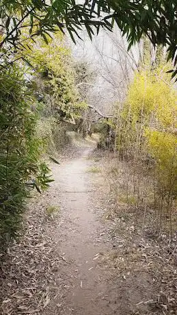 Photo de Parco fluviale 