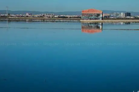 Photo de La Marjal de La Albufera