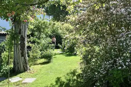 Photo de Giardino