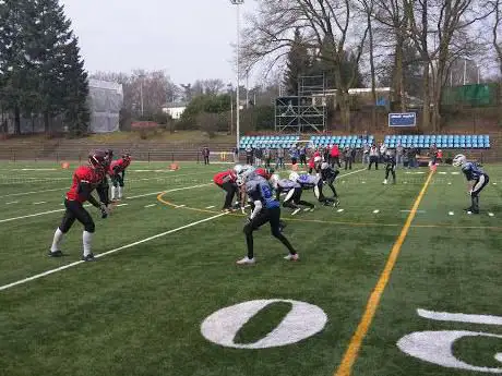 Arnhem Falcons American football club