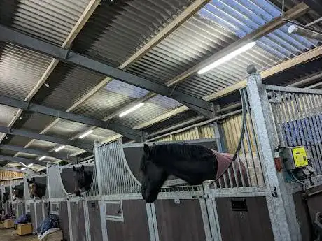 Photo de Bowland Equine Therapy