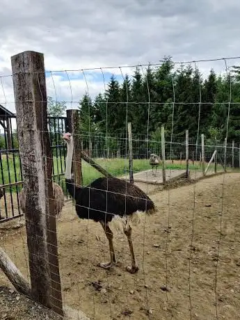 Parc animalier de Rochehaut