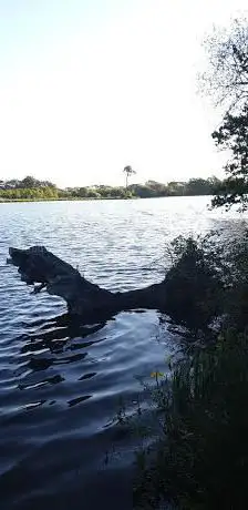 Photo de étang de Noyalo