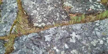 Photo de Petroglifos de Laxe do Agoeiro