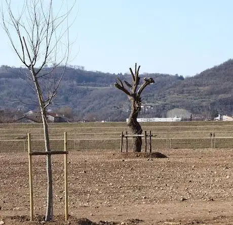 Photo de Rotte Del Guà