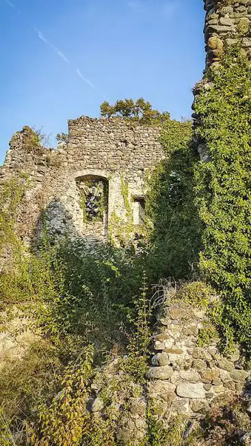 Photo de Ruines du Château de Revel