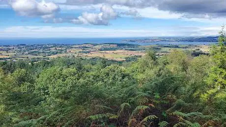 Exe Estuary viewpoint