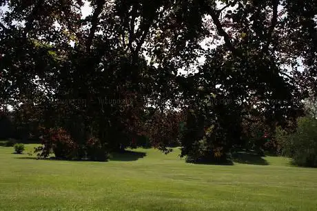 Photo de Northridge Park Playground