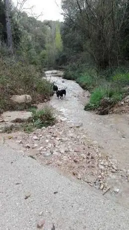 Photo de Armengol Torra