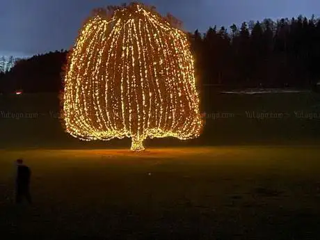 Photo de DER WEIHNACHTSBAUM