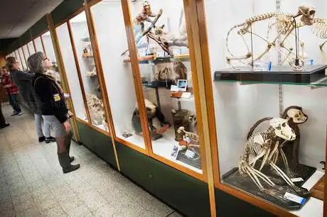Muséum de Zoologie et d'Anthropologie de l'ULB