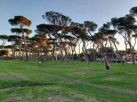 Photo de Pineta Sacchetti - Parco del Pineto