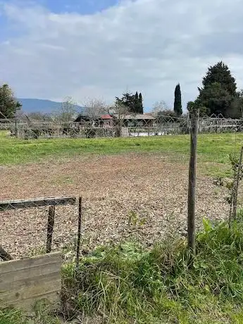 Photo de Parco Eco-Archeologico di Pontecagnano