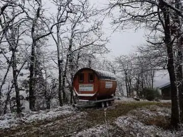 Kabinenroller - Das mobile Saunafass