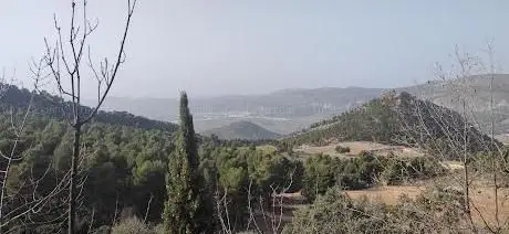 Photo de Font de la Carrasca