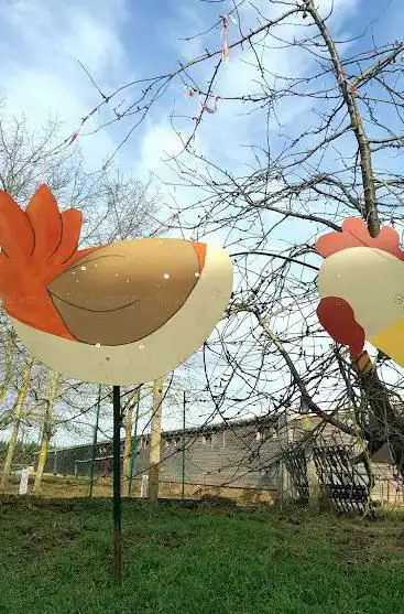 Photo de Poulet Leverrier