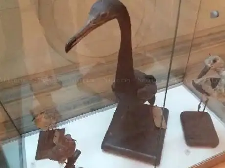 Photo de Museo Orientale Umberto Scerrato