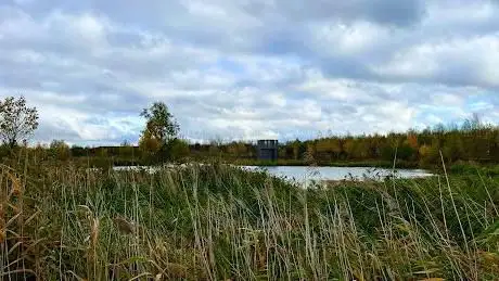 Photo de Brook Leys
