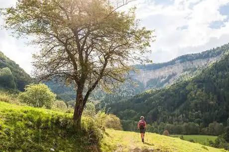 Photo de Espace naturel sensible Combe d'Orvaz roche de la fauconnière