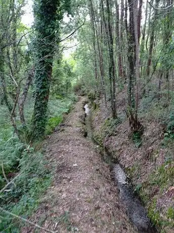 Fervenza de portela