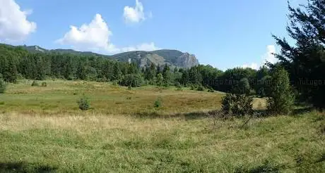 Photo de Prato Riane